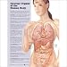 Size is 20" W by 26" H