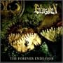 Forever Endeavor