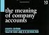 The Meaning Of Company Accounts