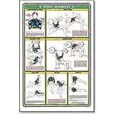 Fitnus Chart -Chest Workout 23"x35" (EA)