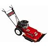 Swisher WB11524 Predator 24-Inch 11.5 HP Gas Self-Propelled Brush Cutter