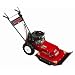 Swisher WB11524 Predator 24-Inch 11.5 HP Gas Self-Propelled Brush Cutter