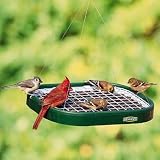 Bird Feeder Squirrel-Blocker Platform Feeder