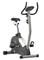 Schwinn 101 Upright Exercise Bike