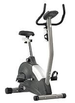 Schwinn 101 Upright Exercise Bike