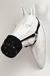 Best Friend Deluxe Grazing Muzzle with Halter Hors