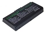 PowerSmart [4400mAh] Replacment Laptop Battery for TOSHIBA Satellite L45-SP2066, Toshiba Equium L40 Series (Equium L40-PSL49E models), Satellite L40 series (Satellite L40-PSL48E models), TOSHIBA Satellite L45-S7xxx Series, Satellite Pro L40 Series (Satel
