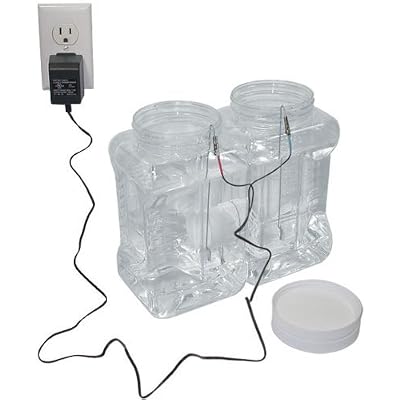 batch unit ionizer