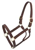 Royal King Leather Track Halter