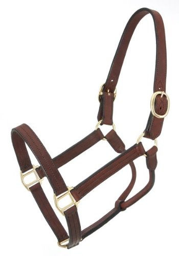 Royal King Leather Track Halter