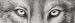 Intimitator 66