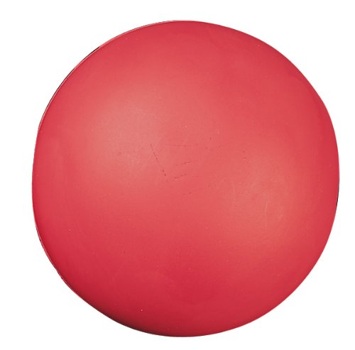 Champion Sports Coated High Density Foam Ball