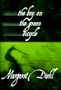 The Boy on the Green Bicycle