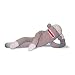 Really Big Sock Monkey