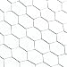 Chicken Wire - 48