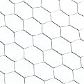 Chicken Wire - 48"x50'