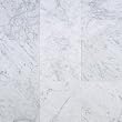 Carrara (Carrera) Bianco Honed 12x12 Marble