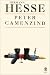 Peter Camenzind (Paperback)