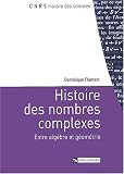Histoire des nombres complexes : Entre alg�bre et g�om�trie