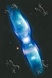 Art Poster, Butterfly Nebula - 18.75 x 27.5