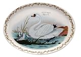 Portmeirion Birds of Britain Earthenware 11-Inch Oval Steak Plate, Set of 6