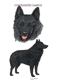 Schipperke - Double Image by Cindy Farmer