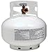 Manchester Tank & Equip 10393.1 11lb Propane Tank