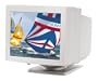 Fellowes Magnifying Anti-Glare Filter 14/15 In