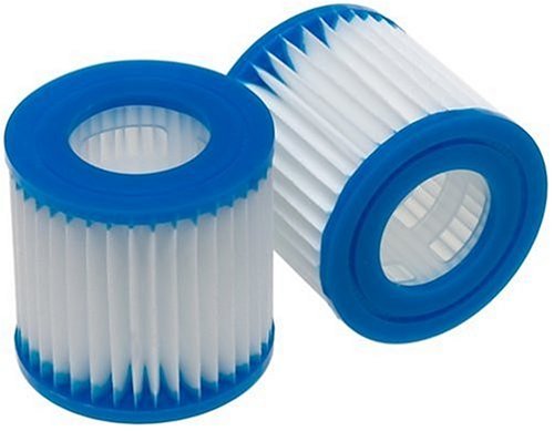 Pool Filter 2-Pack