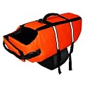 Poolmaster Doggie Swim Vest - Orange