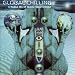 Global Chilling: a Radical Mix of Diverse Global Chillout