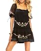 Embroidered Sheer Silk Dress main image