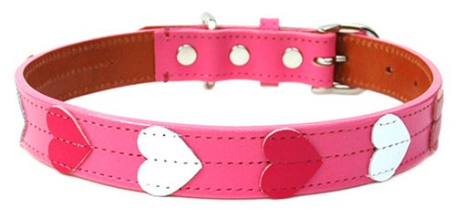 BIRDIE フレッシュハートカラー 50 (L) ピンク 127