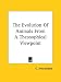 Book The Evolution Of Animals From A Theosophical Viewpoint