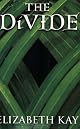 The Divide