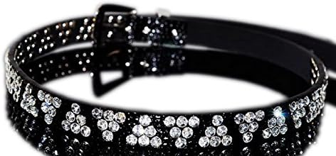 PAQUIN Women's Rhinstone Belt Alligator Texture Leather Richer's Fashion Special 26"-40"