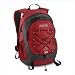 Jansport Skagit Rucksack - Red Curtain