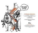 Music : You Can't Go Home Again [12" VINYL]