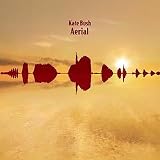 Aerial [VINYL]