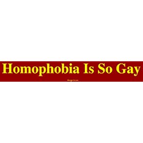 Homophobia Is So Gay Large Bumper Sticker