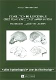 Evolution de l\'encéphale chez l\'Homo erectus et l\'Homo sapiens
