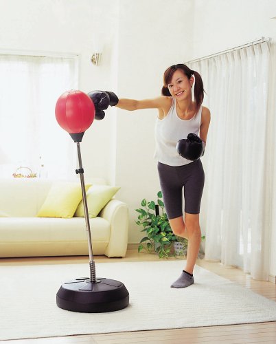 Cover image : パンチングボールセット