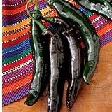 Pepper Seeds - Pepper Holy Mole