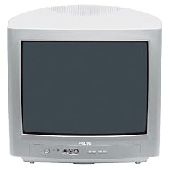 Philips 17 PT 1666 17-Zoll/ 43 cm 4:3 Fernseher silber