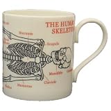 Review Glint  / Educational Mug - Skeleton Mug