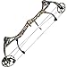 Bear Archery Assault Compound Bow