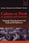Culture at Work in Aviation and Medicine: National, Organizational and Professional Influences