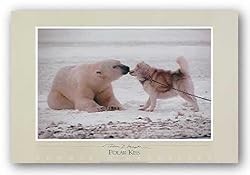 Polar Kiss by Thomas Mangelsen 27.5"x17.5" Art Print Poster