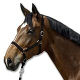 FOUGANZA　ナイロン無口　ブラック 【乗馬用品】