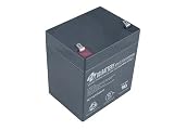 Battery-Biz Inc. 12 Volt 4 Ah SLA UPS Battery
